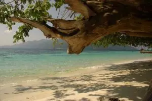 731-thailand-koh-lipe-snorkeltrip