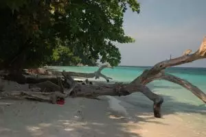 734-thailand-koh-lipe-snorkeltrip