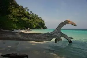 735-thailand-koh-lipe-snorkeltrip