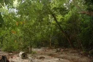 744-thailand-koh-sakai-snorkeltrip