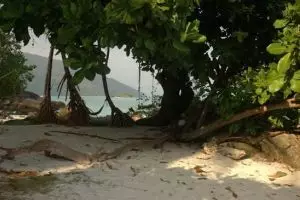 768-thailand-koh-lipe-sunrise-beach-viewpoint-resort