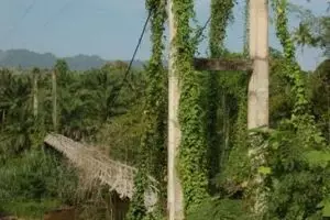 789-thailand-khao-sok-national-park-jungle-brug
