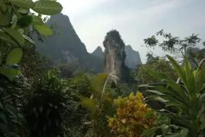 790-thailand-khao-sok-national-park