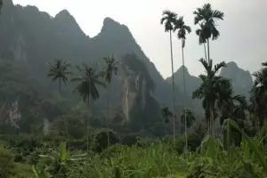 791-thailand-khao-sok-national-park