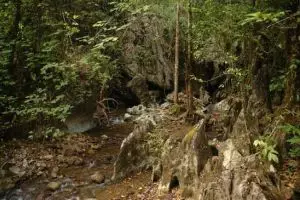 810-thailand-khao-sok-national-park-jungle