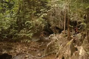 811-thailand-khao-sok-national-park-jungle