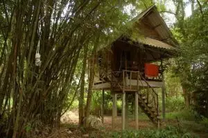 833-thailand-hut-khao-sok-valley-lodge