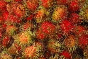 859-thailand-bangkok-nakhon-kasem-market-chinatown