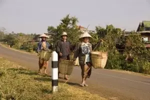 100-laos-tad-fan-lokale-dames-pad