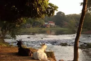 113-laos-tad-lo