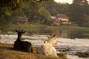 116-laos-tad-lo