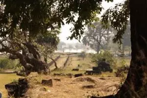 177-laos-wat-champasak