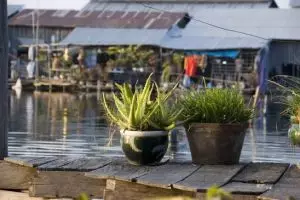 424-cambodja-phnom-penh-uitzicht-floating-island-guesthouse