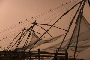 227-visnetten-cochin-kerala