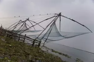 230-visnetten-cochin-kerala