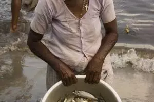 343-visvrouw-cochin-kerala