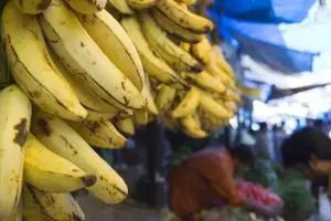 468-devaraja-market-ysore