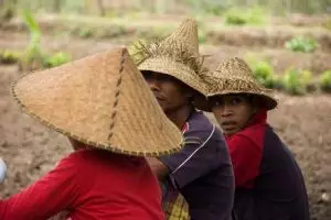 287-lombok-kuta