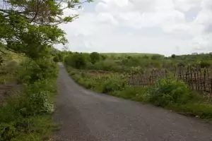 308-lombok-ekas