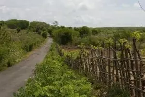 309-lombok-ekas