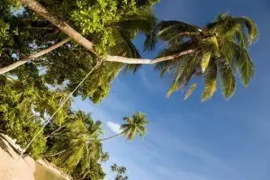 854-thailand-koh-mak-2010