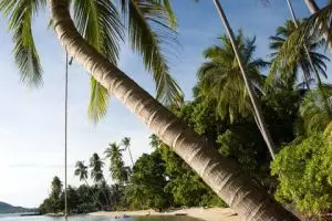 855-thailand-koh-mak-2010