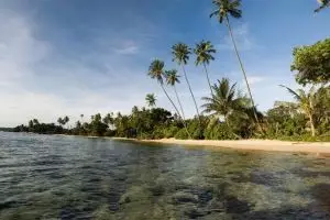 857-thailand-koh-mak-2010-pan