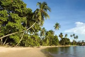 868-thailand-koh-mak-2010-pan