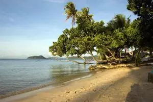 875-thailand-koh-mak-2010