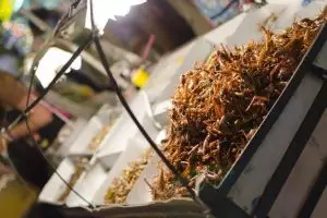 0666-thailand-bangkok-khao-san-road-area