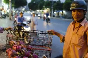 0969-vietnam-ho-chi-minh-city