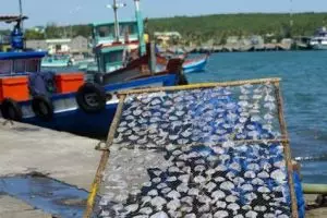 1002-vietnam-phu-quoc-island