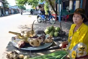 1047-vietnam-phu-quoc