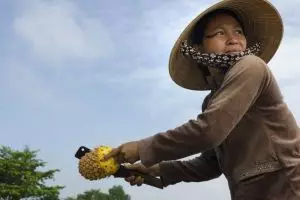 1200-vietnam-mekong-delta-can-tho-floating-marketing