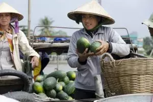 1232-vietnam-mekong-delta-can-tho-floating-marketing