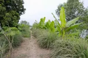 1290-vietnam-vinh-long-home-stay