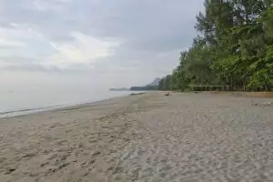 1730-koh-jum