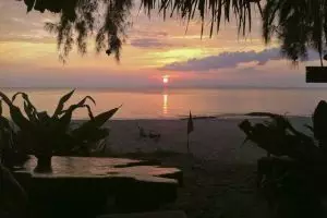 1760-iphone-koh-jum