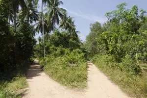 1768-koh-jum