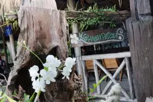 4365-koh-wai