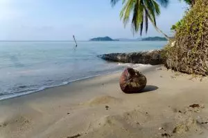 4423-koh-mak