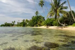 4469-koh-mak