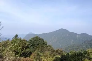 20140124-cameron-highlands-6761