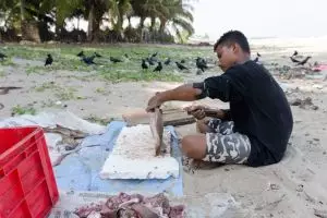 9595-uppuveli_copy_1