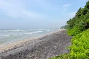 9641-medawatta_copy_1
